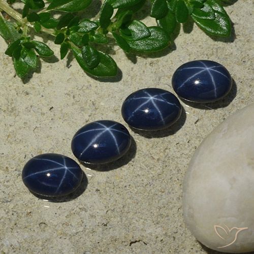 4.95ctw 天然 深蓝色 星光蓝宝石, 椭圆形, 不透明