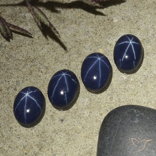 3.73ctw 天然 深蓝色 星光蓝宝石, 椭圆形, 不透明