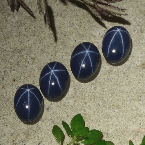 4.57ctw 天然 深蓝色 星光蓝宝石, 椭圆形, 不透明
