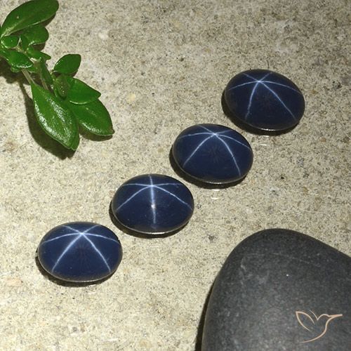 4.52ctw 天然 深海军蓝 星光蓝宝石, 椭圆形, 不透明
