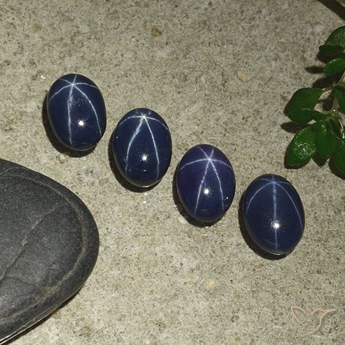 4.72ctw 天然 暗蓝色 星光蓝宝石, 椭圆形, 不透明