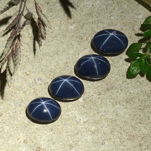 4.58ctw 天然 深蓝色 星光蓝宝石, 椭圆形, 不透明