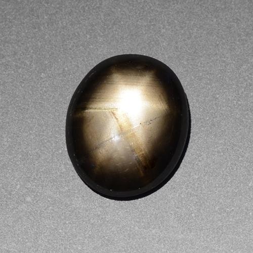 2.39克拉天然黑色星光蓝宝石，椭圆形切割，9.6×7.9毫米，不透明