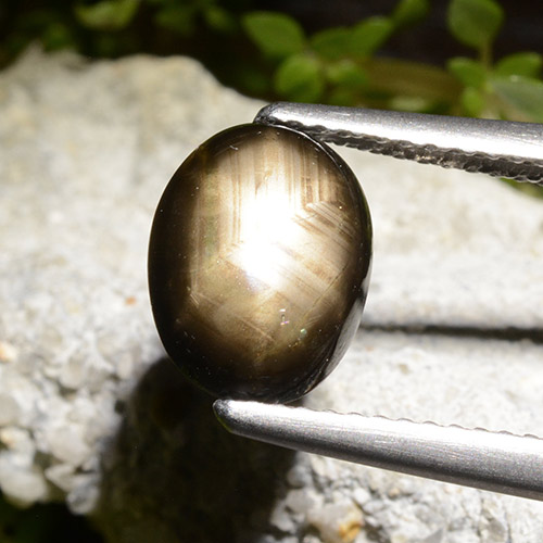 2.71克拉天然黑色星光蓝宝石，椭圆形切割，9.6×7.4毫米，不透明