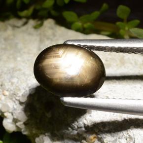 2.71克拉天然黑色星光蓝宝石，椭圆形切割，9.6×7.4毫米，不透明