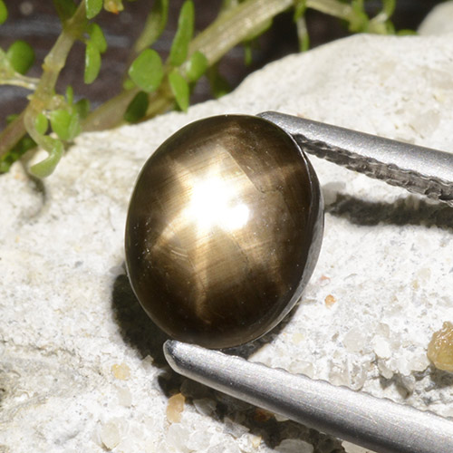 2.78克拉天然星光蓝宝石，椭圆形切割，不透明