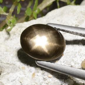 2.78克拉天然星光蓝宝石，椭圆形切割，不透明