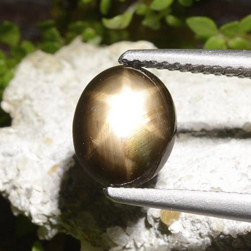 2.65克拉天然黑色星光蓝宝石，椭圆形切割，9.2×7.3毫米，不透明