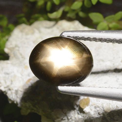 2.65克拉天然黑色星光蓝宝石，椭圆形切割，9.2×7.3毫米，不透明