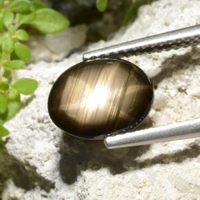 2.32克拉天然星光蓝宝石，椭圆形切割，不透明