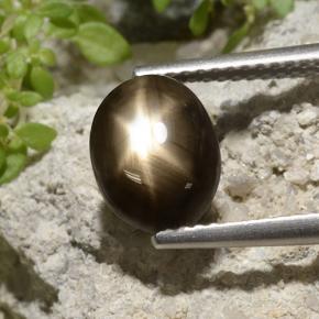 3.33克拉天然星光蓝宝石，椭圆形切割，不透明