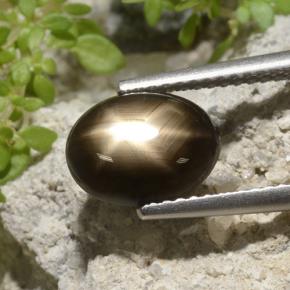 3.33克拉天然星光蓝宝石，椭圆形切割，不透明