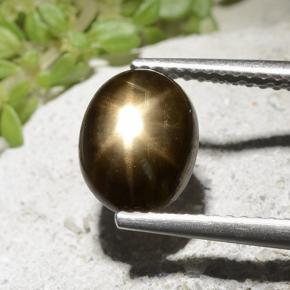 2.54克拉天然星光蓝宝石，椭圆形切割，不透明