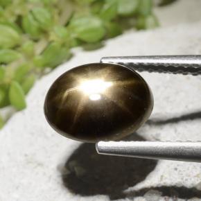 2.54克拉天然星光蓝宝石，椭圆形切割，不透明