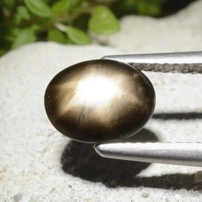 2.78克拉天然黑色星光蓝宝石，椭圆形切割，9.4×7.5毫米，不透明
