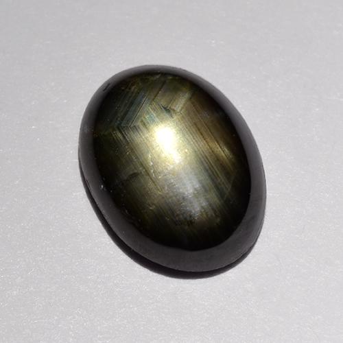 1.47克拉天然黑色星光蓝宝石，椭圆形切割，7.8×5.9毫米，不透明