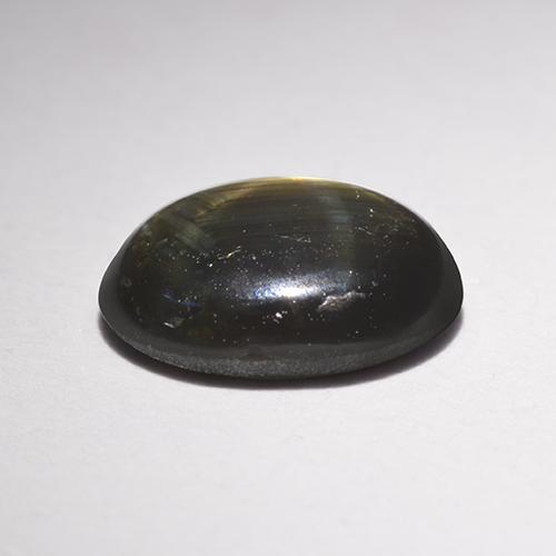 1.47克拉天然黑色星光蓝宝石，椭圆形切割，7.8×5.9毫米，不透明
