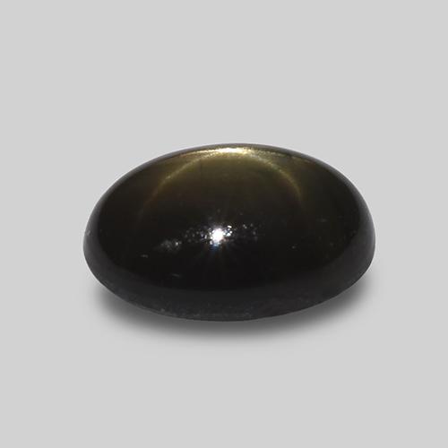 1.62克拉天然黑色星光蓝宝石，椭圆形切割，7.7×5.8毫米，不透明