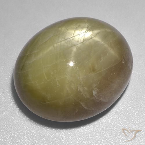 54.80ct 天然 金黄色 星光蓝宝石, 椭圆形, 不透明