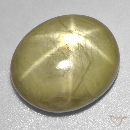 46.06ct 天然 金黄色 星光蓝宝石, 椭圆形, 不透明
