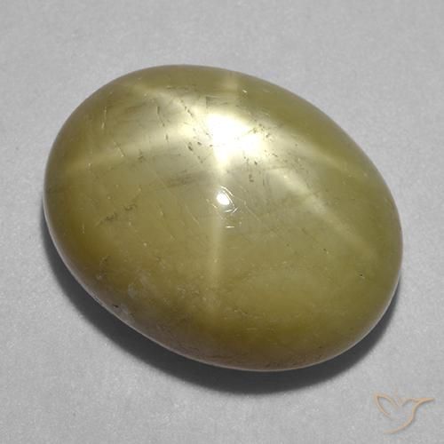 31.68ct 天然 金黄色 星光蓝宝石, 椭圆形, 不透明