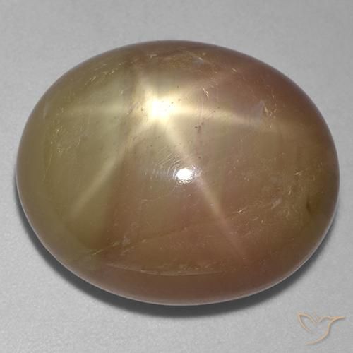 31.95ct 天然 橙金 星光蓝宝石, 椭圆形, 不透明