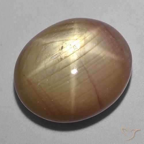 40.06ct 天然 橙金 星光蓝宝石, 椭圆形, 不透明