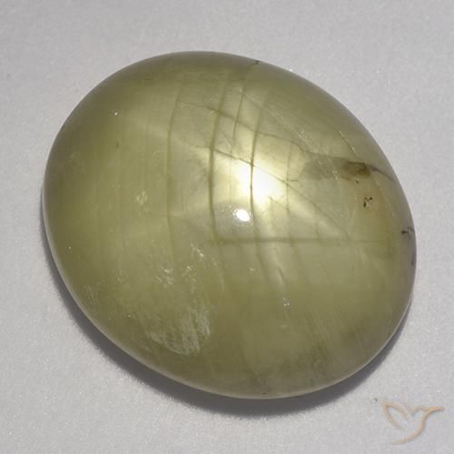 23.11ct 天然 中性黄 星光蓝宝石, 椭圆形, 不透明