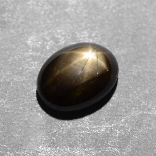 1.12克拉天然黑色星光蓝宝石，椭圆形切割，6.8×5.2毫米，不透明