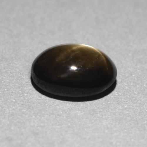1.12克拉天然黑色星光蓝宝石，椭圆形切割，6.8×5.2毫米，不透明