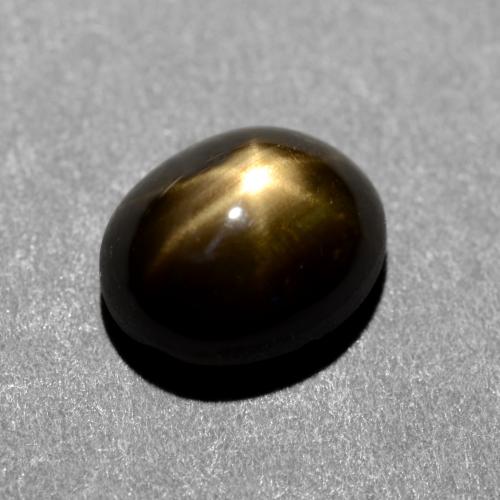 1.31克拉天然黑色星光蓝宝石，椭圆形切割，6.7×5.5毫米，不透明