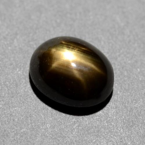 1.31克拉天然黑色星光蓝宝石，椭圆形切割，6.7×5.5毫米，不透明