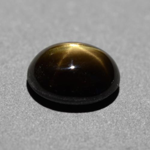 1.31克拉天然黑色星光蓝宝石，椭圆形切割，6.7×5.5毫米，不透明