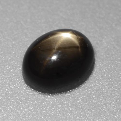 1.49克拉天然黑色星光蓝宝石，椭圆形切割，7×5.5毫米，不透明