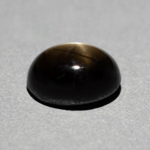 1.49克拉天然黑色星光蓝宝石，椭圆形切割，7×5.5毫米，不透明
