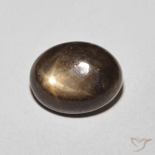 4.26ct 天然 黑色 星光蓝宝石, 椭圆形, 不透明
