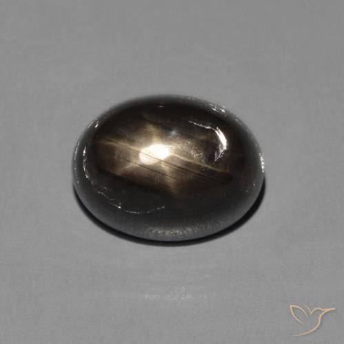 2.72ct 天然 黑色 星光蓝宝石, 椭圆形, 不透明