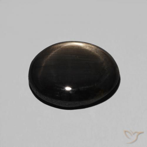 4.89克拉天然星光蓝宝石，椭圆形，不透明