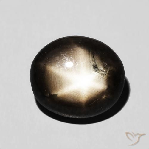 7.12ct 天然 黑色 星光蓝宝石, 椭圆形, 不透明