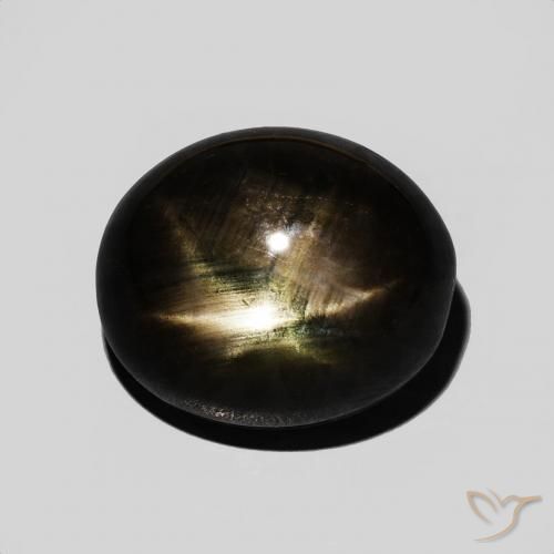 8.75ct 天然 黑色 星光蓝宝石, 椭圆形, 不透明