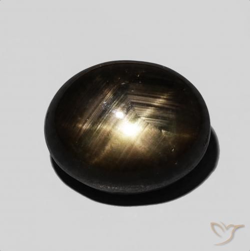 9.54ct 天然 黑色 星光蓝宝石, 椭圆形, 不透明