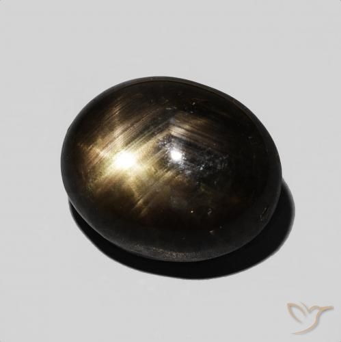 9.54克拉天然星光蓝宝石，椭圆形，不透明