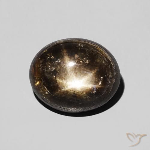 2.74ct 天然 黑色 星光蓝宝石, 椭圆形, 不透明