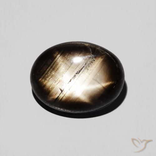 2.97ct 天然 黑色 星光蓝宝石, 椭圆形, 不透明