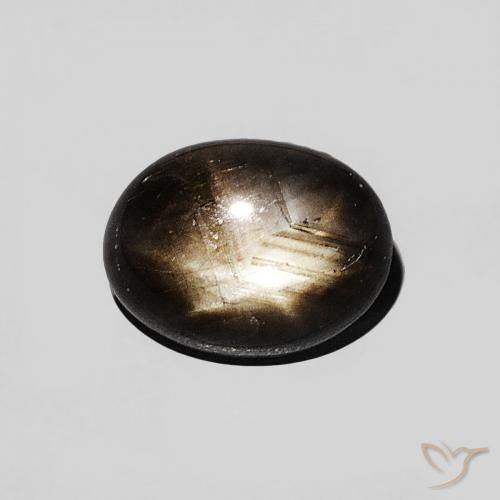 1.29ct 天然 黑色 星光蓝宝石, 椭圆形, 不透明