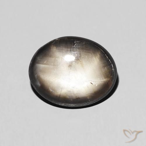1.98ct 天然 黑色 星光蓝宝石, 椭圆形, 不透明