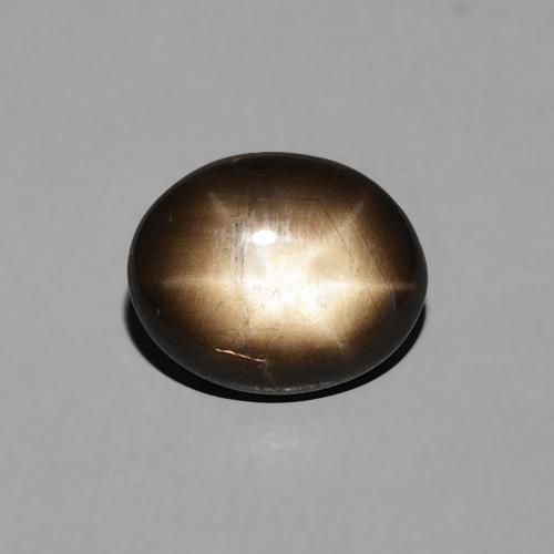 2.26ct 天然 黑色 星光蓝宝石, 椭圆形, 不透明