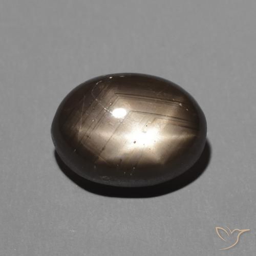 2.88ct 天然 黑色 星光蓝宝石, 椭圆形, 不透明