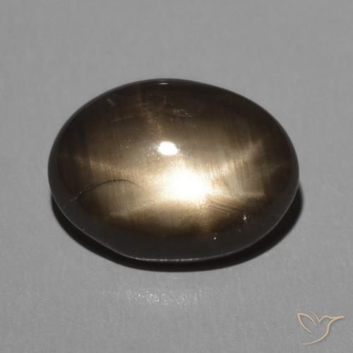 2.95ct 天然 黑色 星光蓝宝石, 椭圆形, 不透明