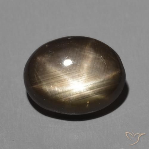 3.30ct 天然 黑色 星光蓝宝石, 椭圆形, 不透明
